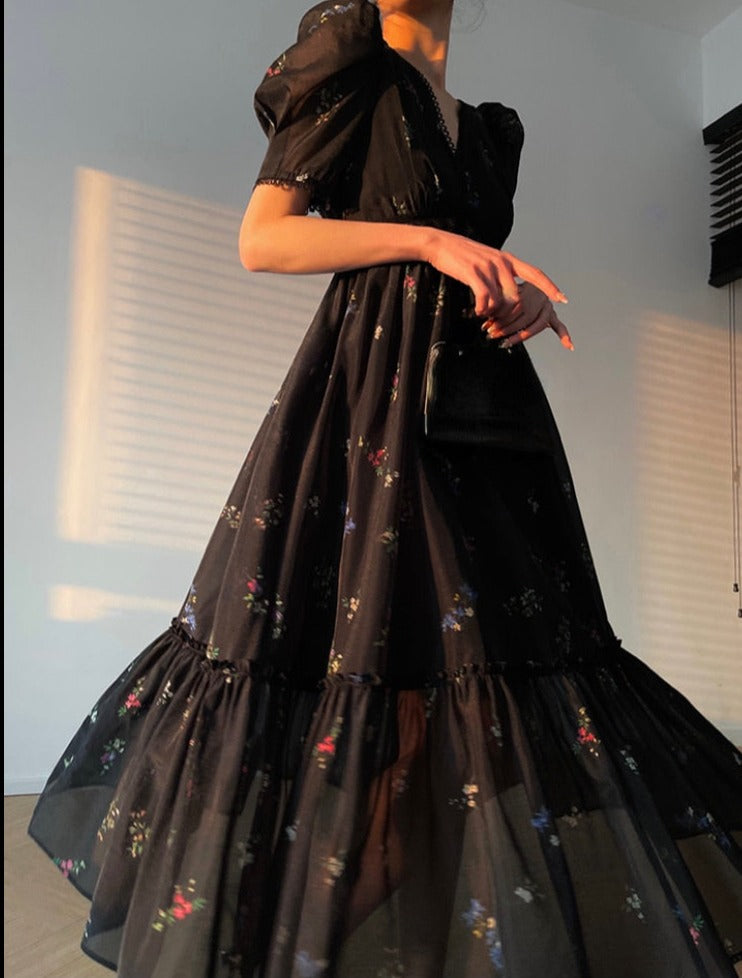 Aaima Dancer Dress